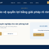 Ảnh minh họa website luật - giao diện 1