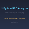 seo audit python 1
