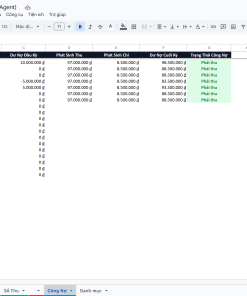 real 01 sheet cong no 4